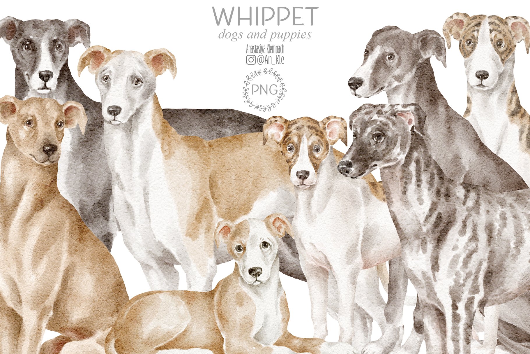 Whippet Dogs Clipart - Design Cuts