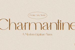 Charmantine - A Modern Sans