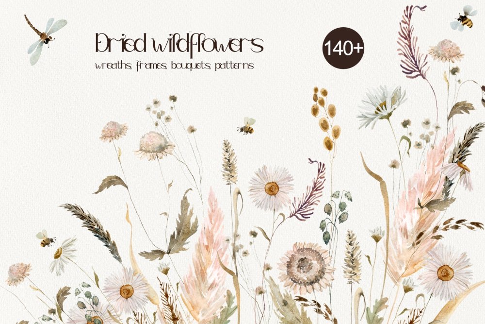 Dried Wildflowers Collection