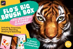 Flo's Big Procreate Brush Box
