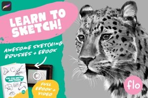 Learn To Sketch - Ebook & Sketching Procreate Brushes
