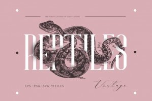 Reptiles Vintage