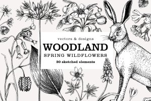 Spring Wild Flowers - Woodland Sketch