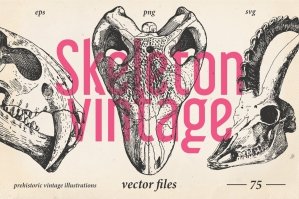 Vintage Prehistoric Skeletons