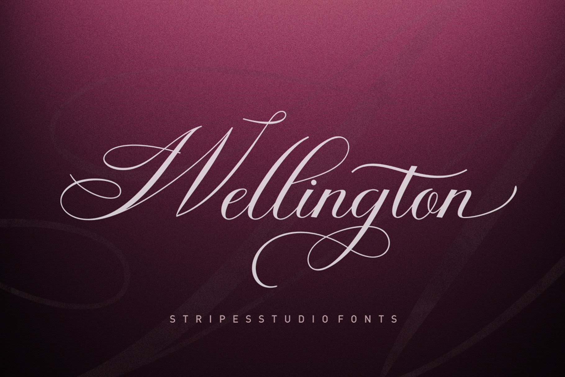 Wellington Script - Design Cuts