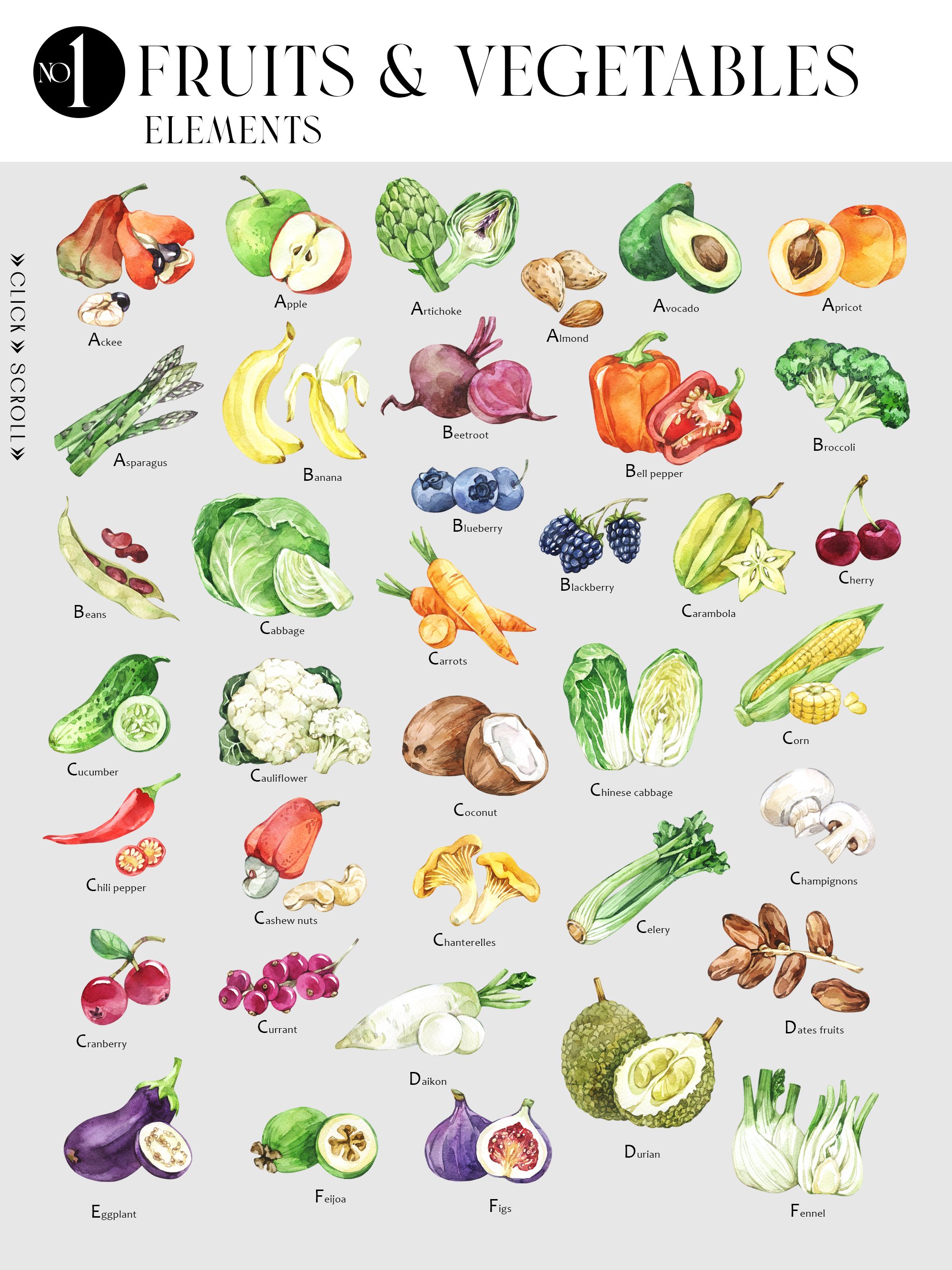 vegetables herbs and fruit an illustrated encyclopedia free download