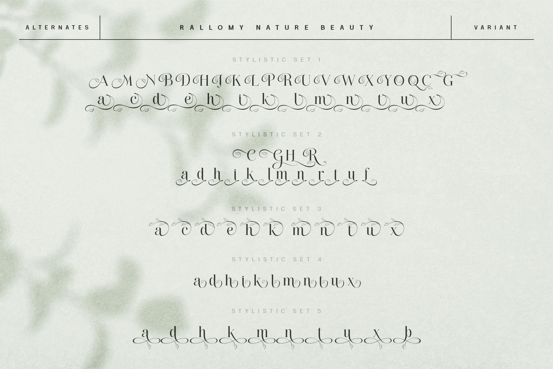 Nature Beauty Font