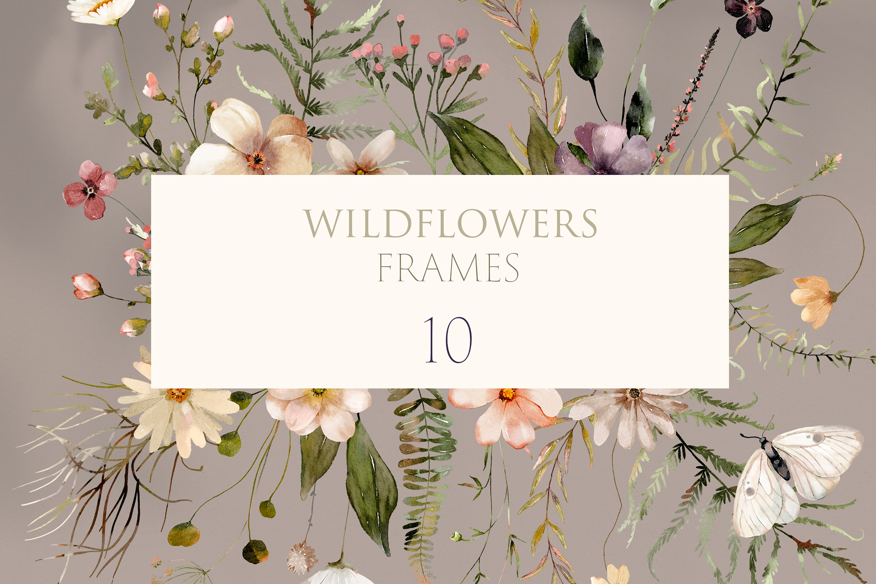 Wildflowers Watercolor Dried Wild Florals - Design Cuts