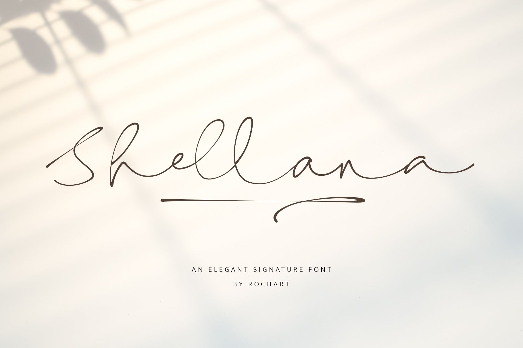 Shellana | Elegant Signature Font - Design Cuts