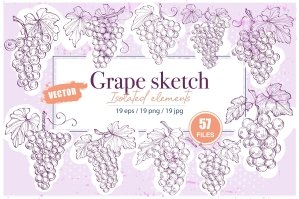 Grape Sketch Illustration