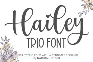 Hailey Font Trio