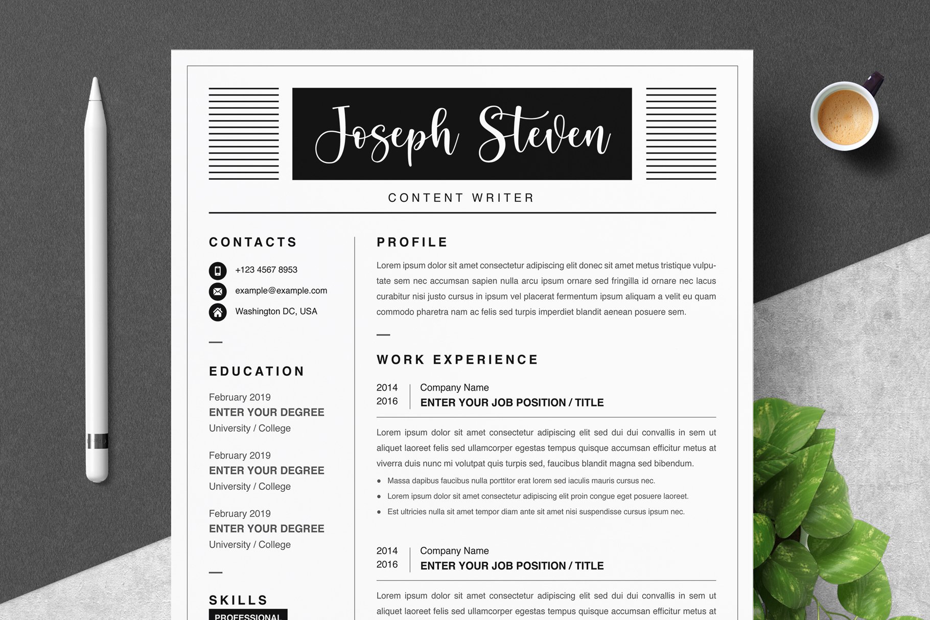 Professional Resume Template 2023