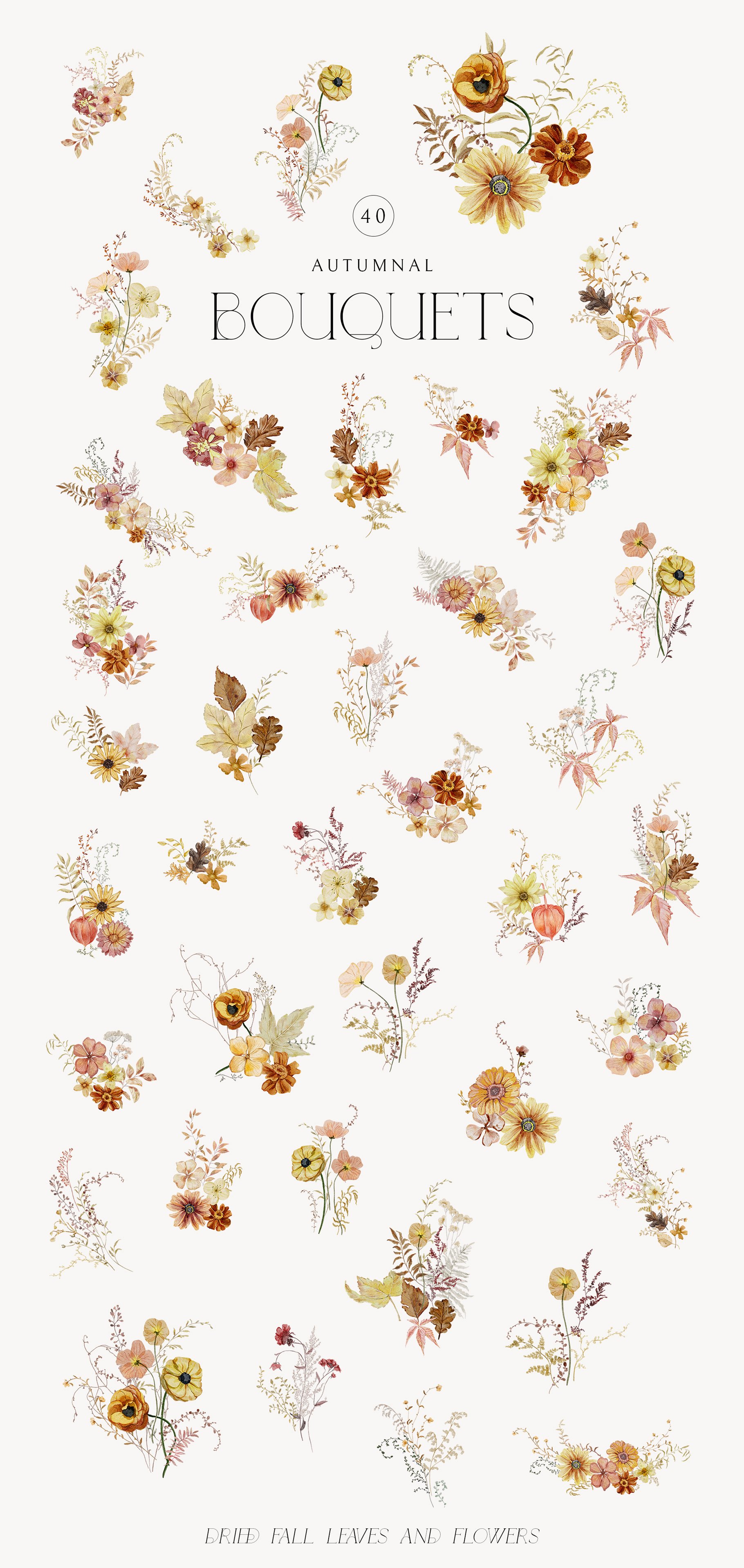 Autumn Dried Flowers… – WonderfulWolf