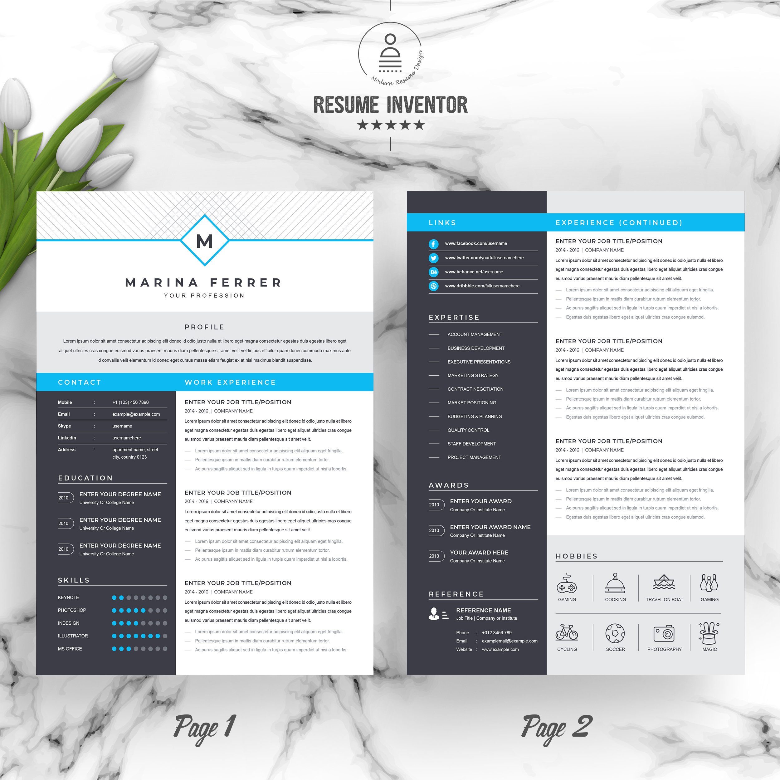 Professional Resume CV Template 3 - Design Cuts