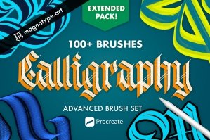 Calligraphy Advanced Brush Set - Over 100 Broad Brushes