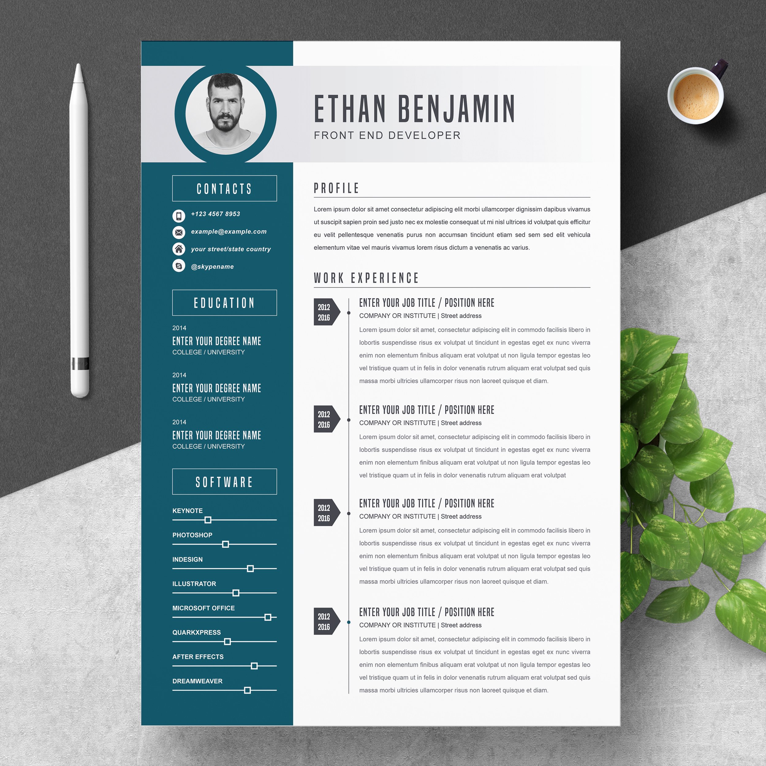 Professional Resume Cv Template 8 Design Cuts 8883