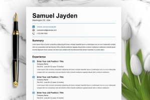 Professional Resume Template 8