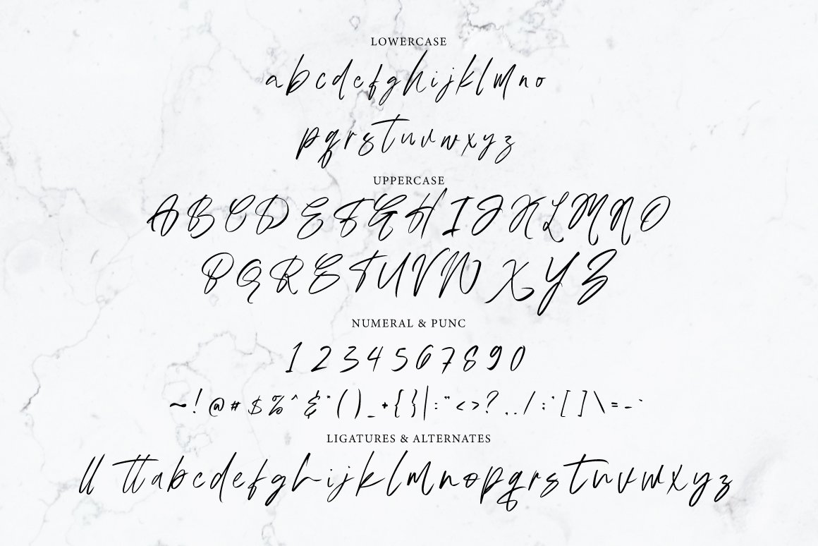 Austand - Handwritten Signature - Design Cuts