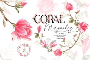 Coral Magnolia