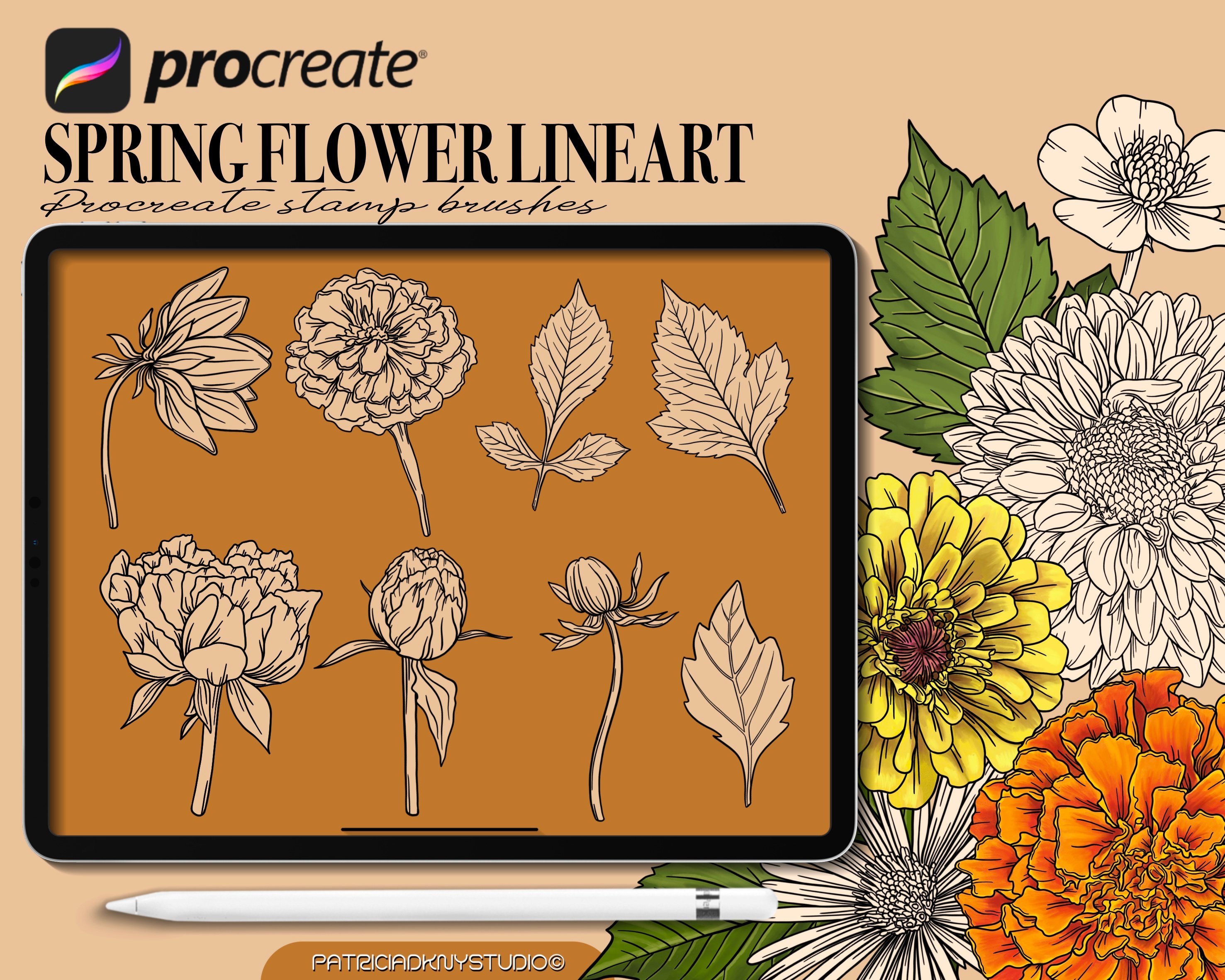 70 Flower Stamp Procreate Brushes - Design Cuts
