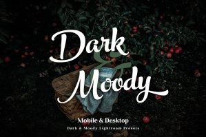 Dark & Moody Lightroom Presets - Mobile & Desktop