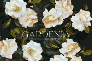 Gardenia Botanical Pattern & Clip Art Kit