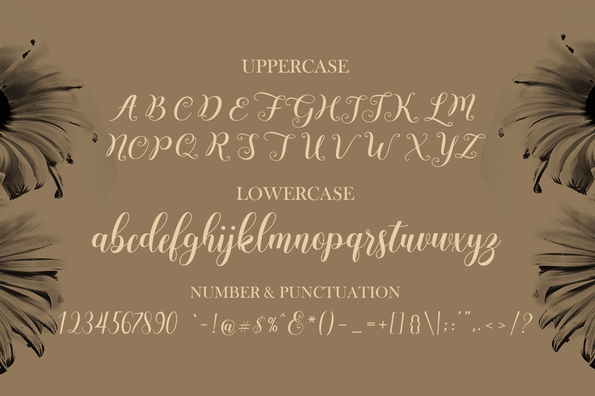 Andesia Script - Design Cuts