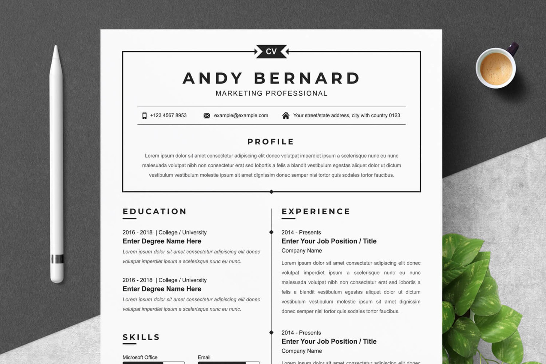best resume templates for 2023