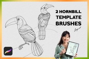 Procreate Hornbill Stamp