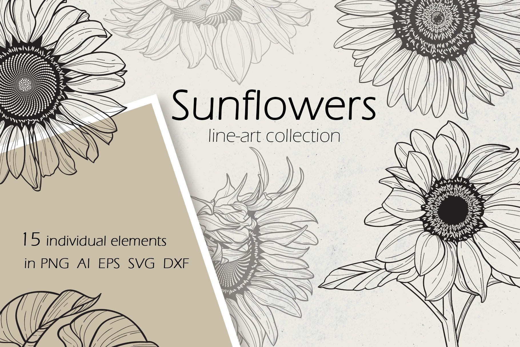 Watercolor Dried Wildflowers Clipart Collection