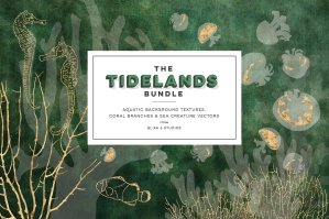 The Tidelands Bundle Of Aquatic Textures & Vectors
