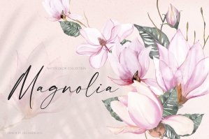 Watercolor Magnolia Blossom