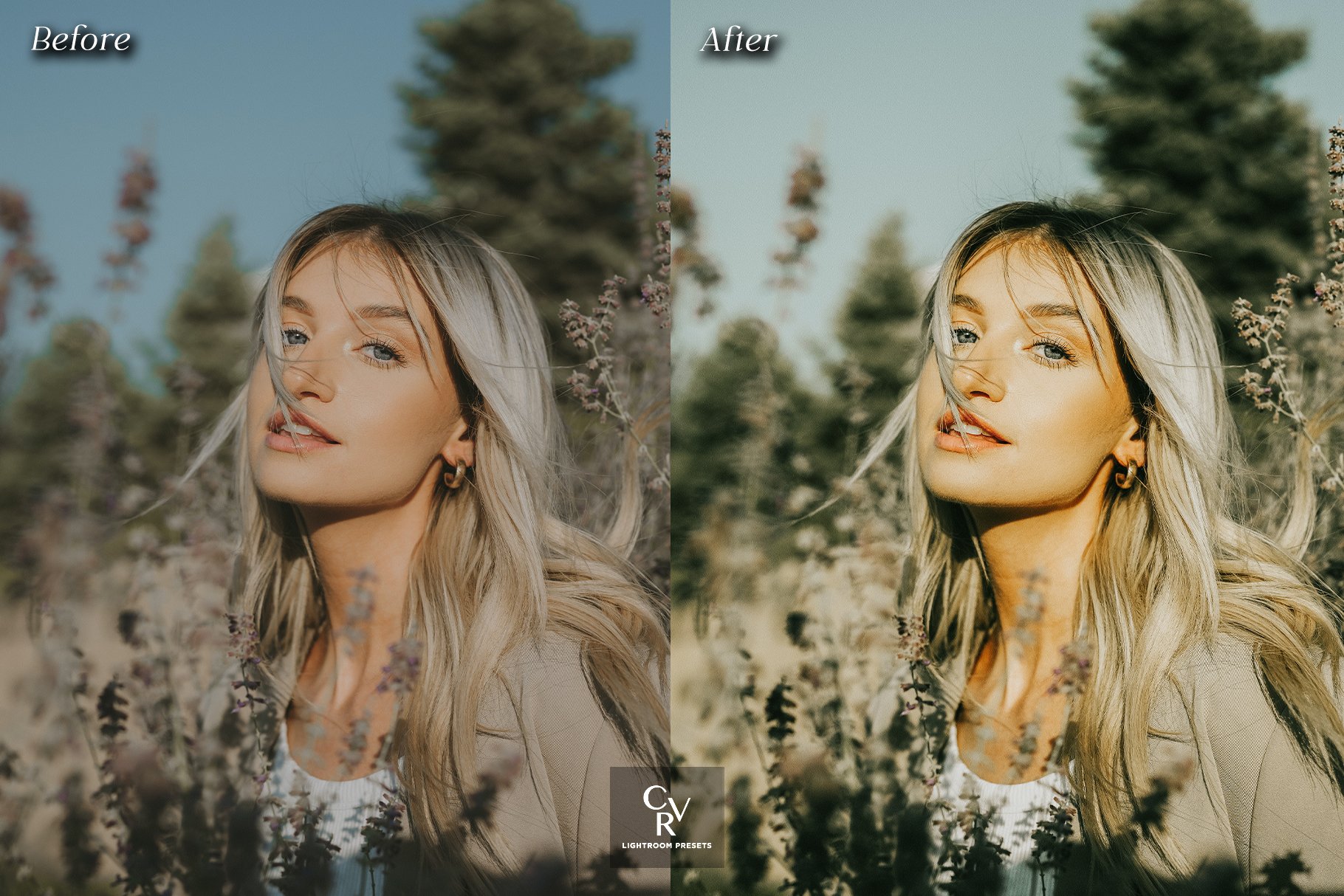 10 Creamy Lightroom Presets - Design Cuts