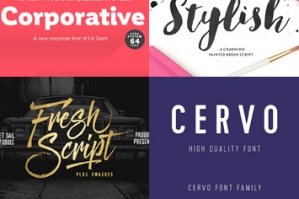22 World Class Quality Fonts (With Web Fonts & Extended Licensing)