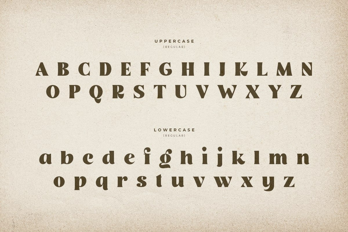 Rogue – Retro Vintage Classy Serif - Design Cuts