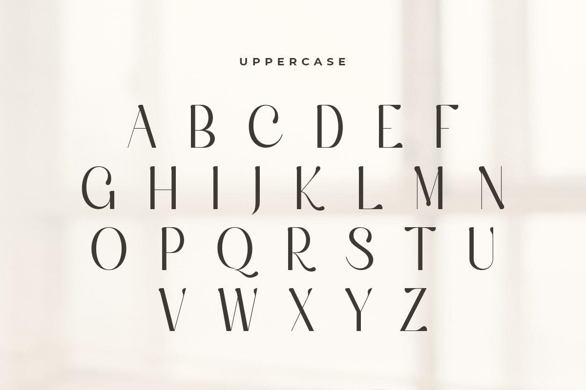 Silky - Elegant Aesthetic Sans Serif - Design Cuts