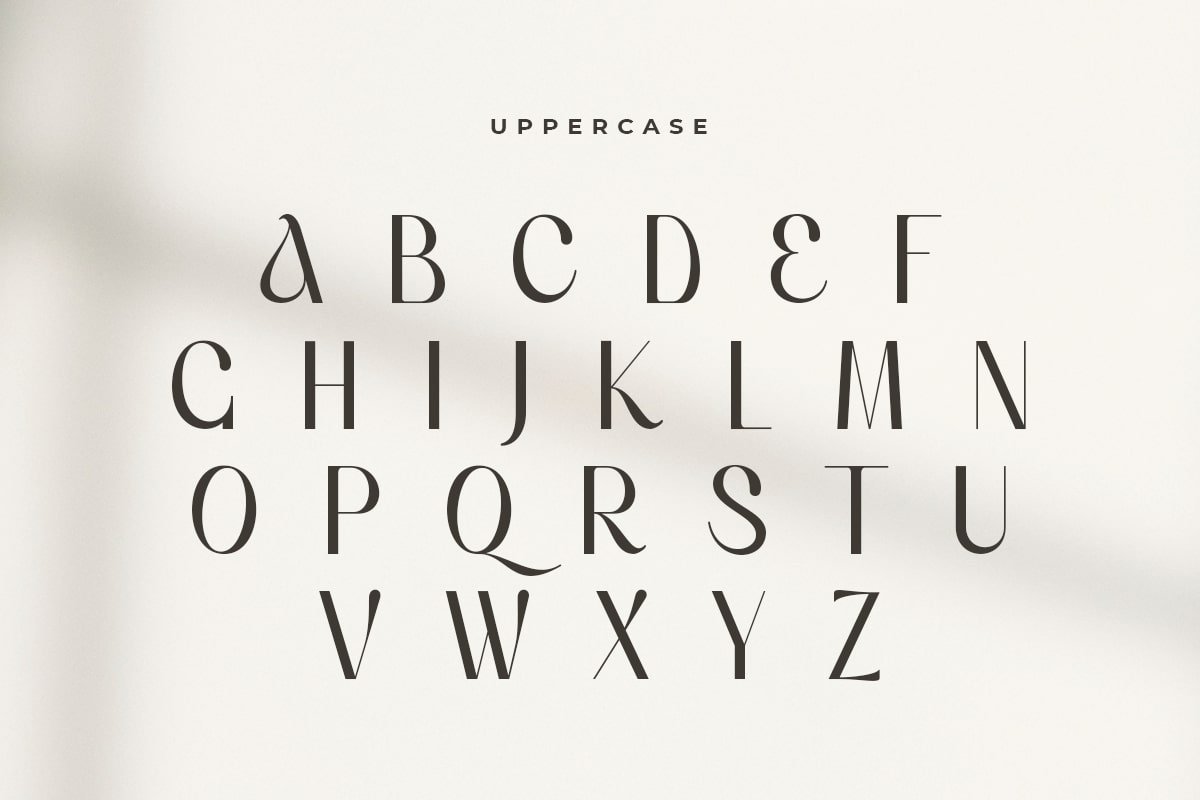 Voyage - Modern Classy Serif Font - Design Cuts