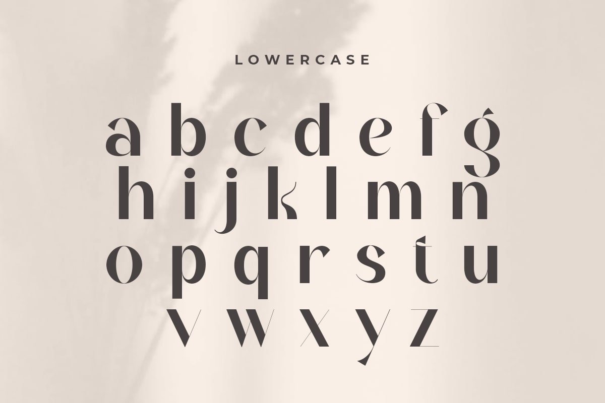 Aldora - Modern Display Font - Design Cuts