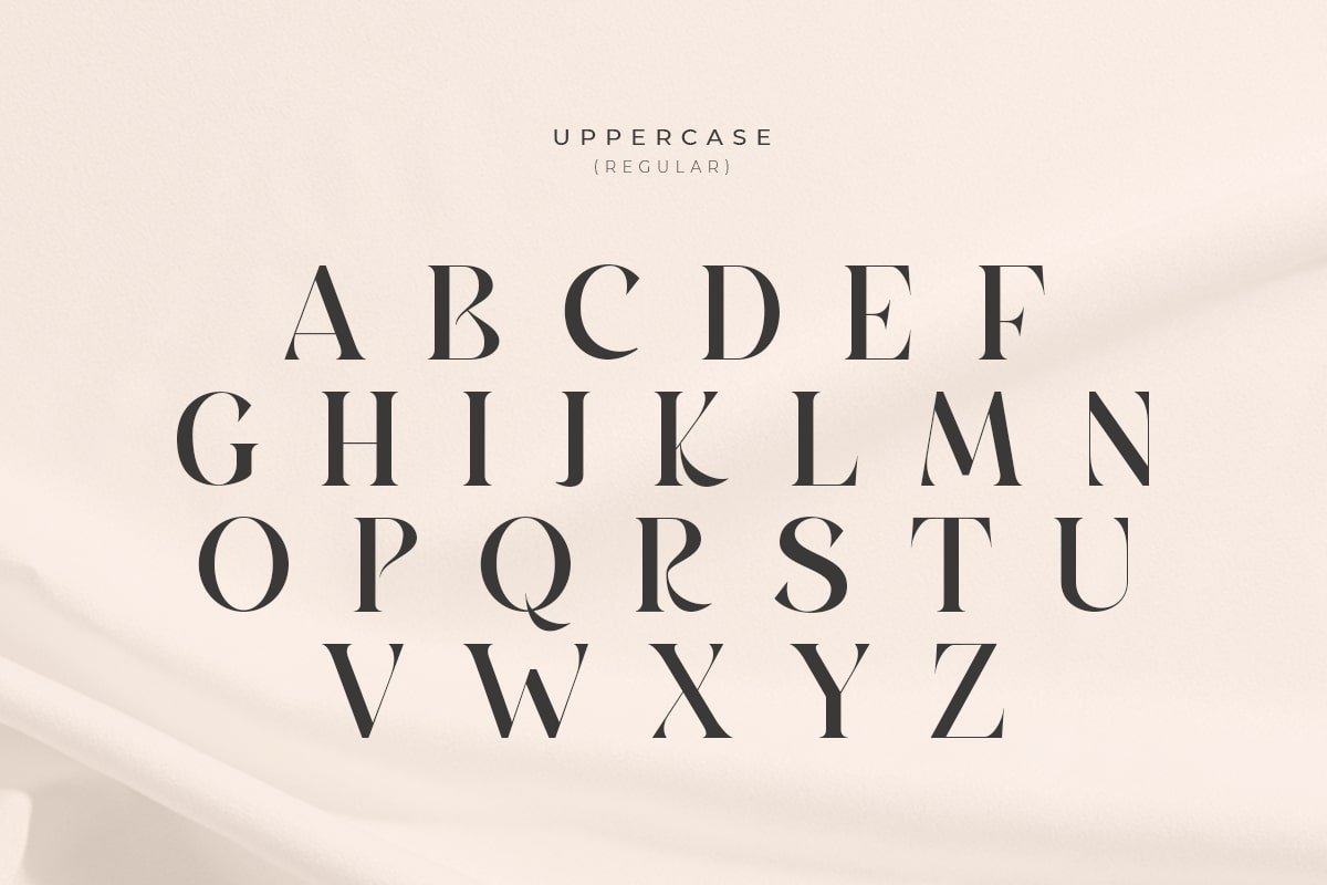 Barbeque - Modern Luxury Serif Font - Design Cuts