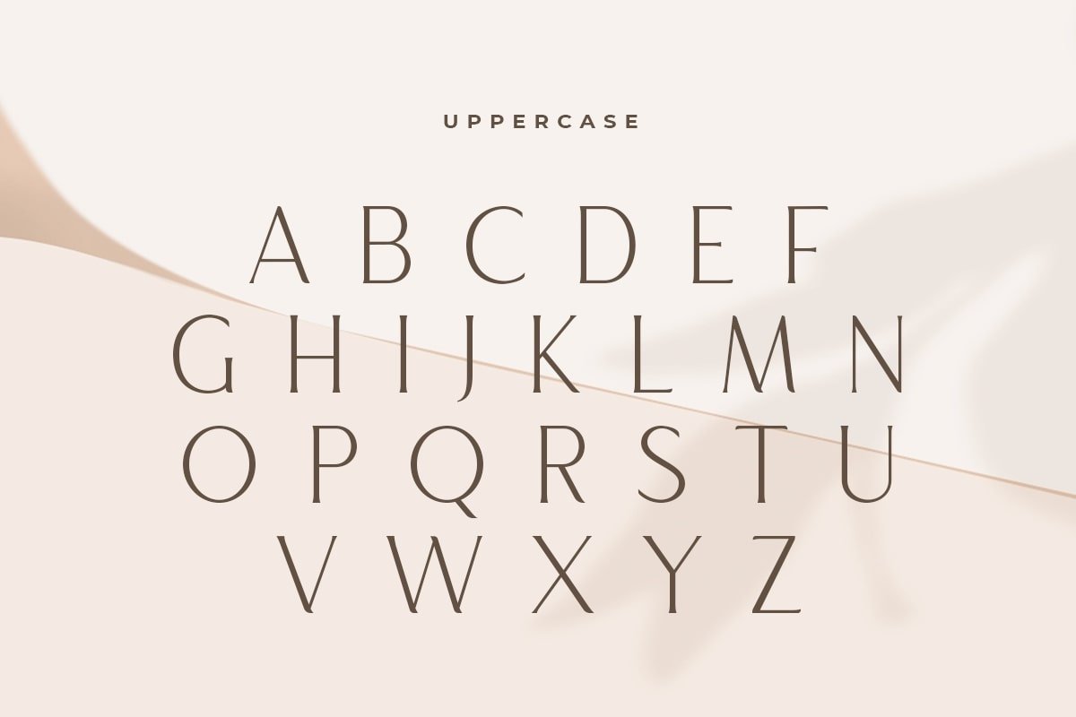 Maguare – Modern Stylish Serif Font - Design Cuts