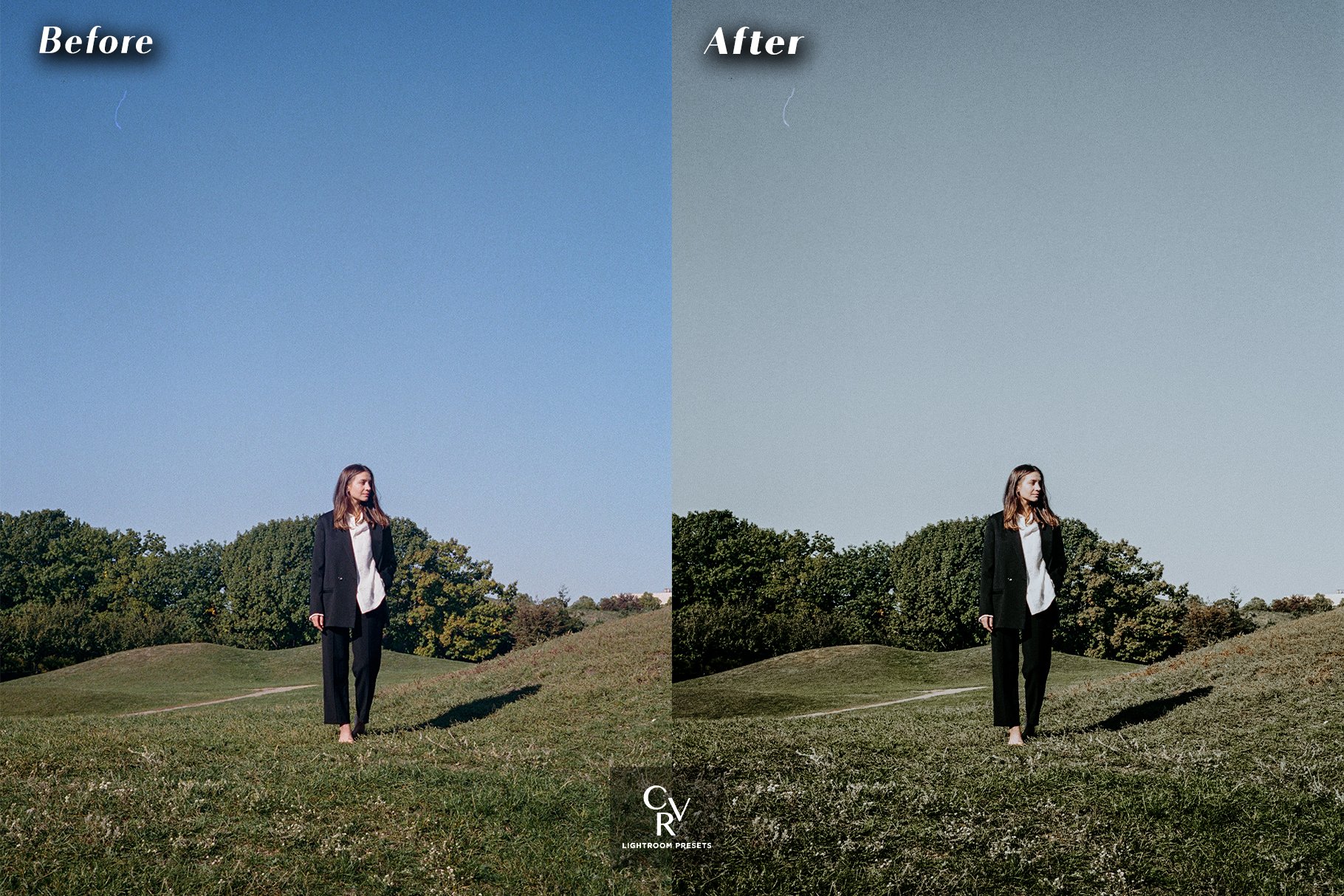 10 Sage Green Lightroom Presets - Design Cuts