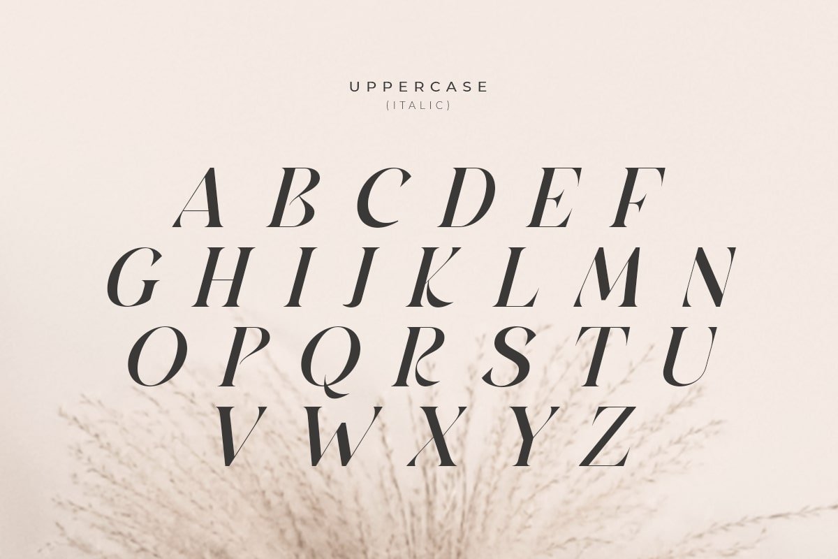 Barbeque - Modern Luxury Serif Font - Design Cuts