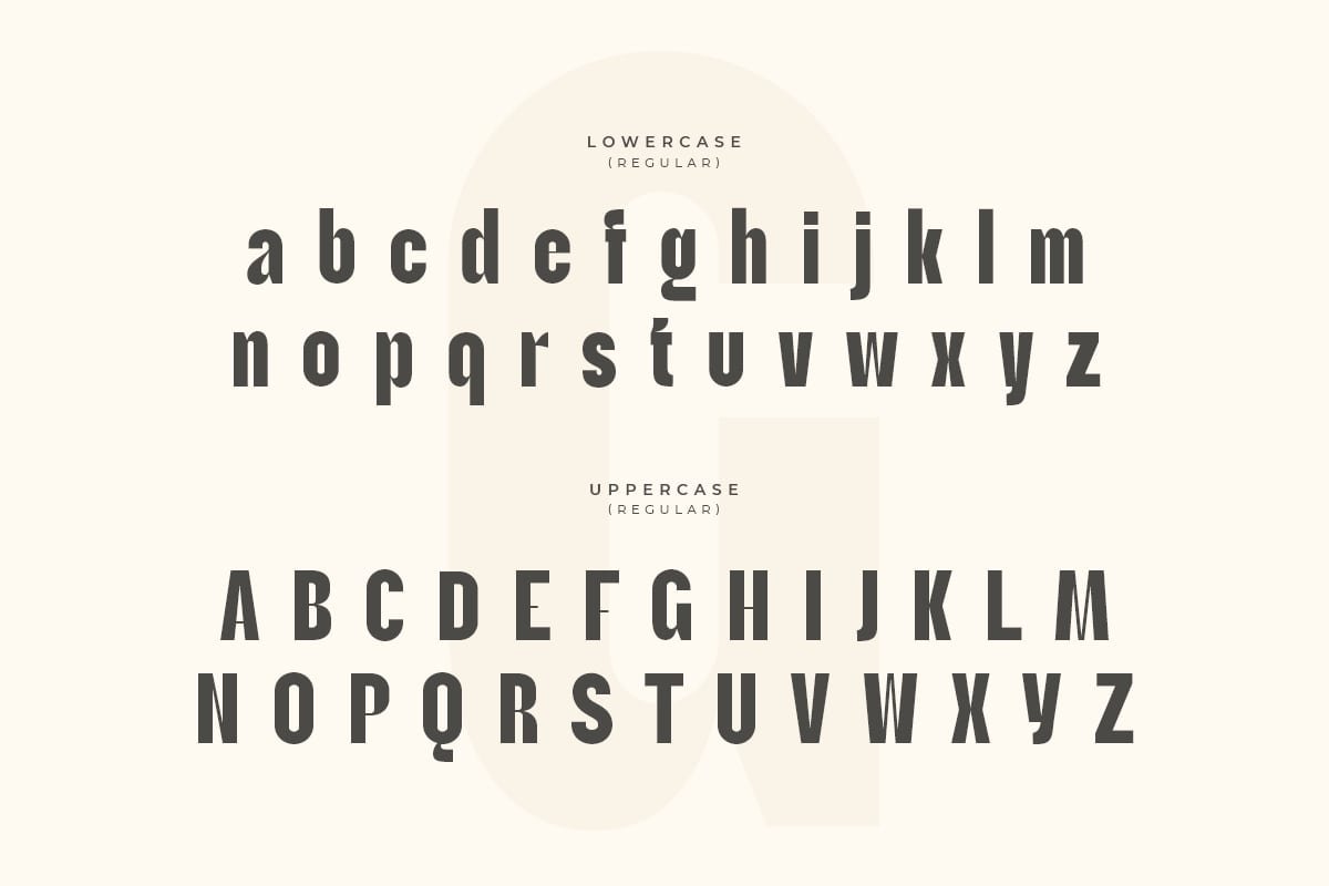 Brother – Unique Modern Display Font - Design Cuts