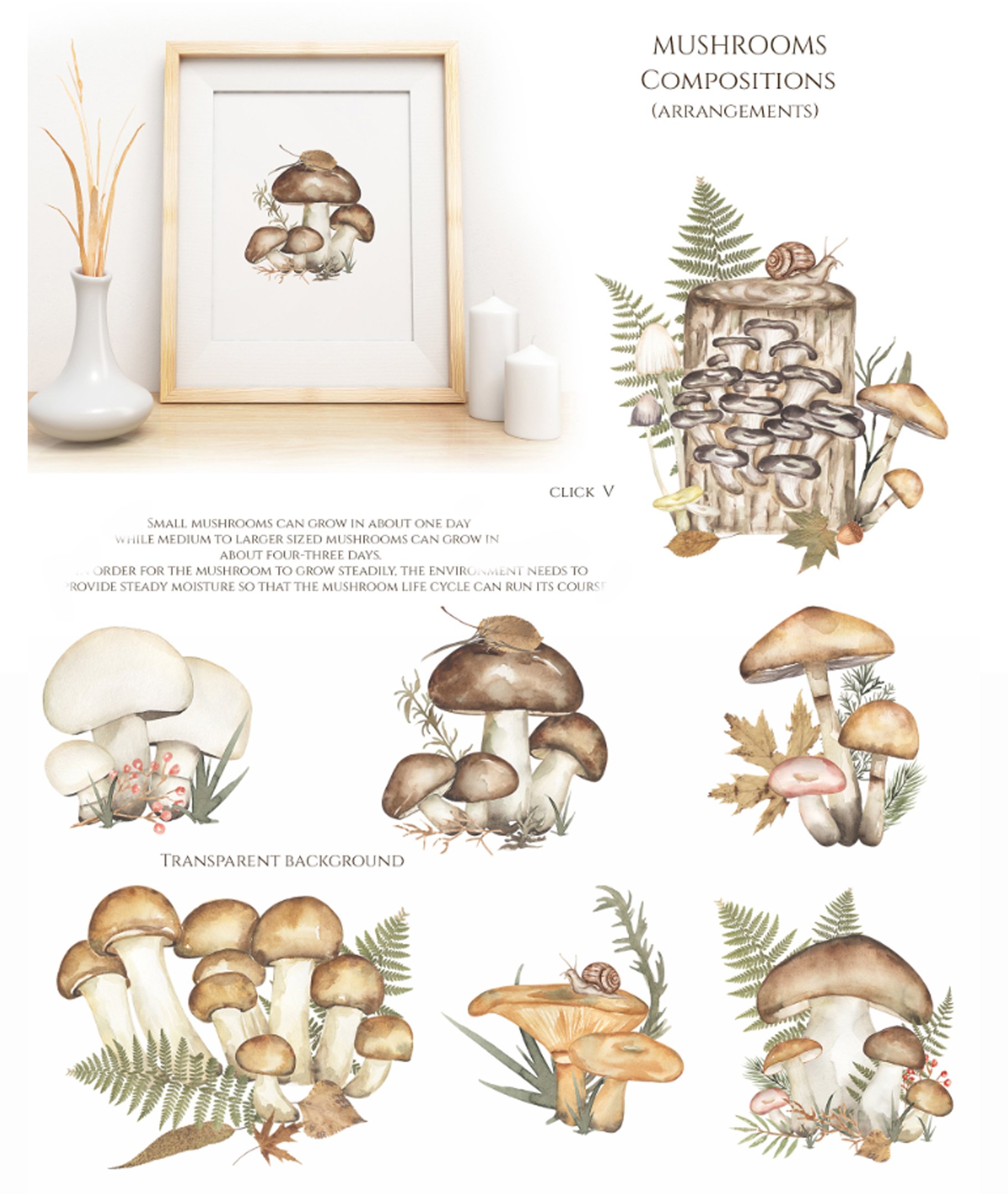 Cottagecore Wrapping Paper, Mushroom Gift Wrap , Butterlies, Mushrooms