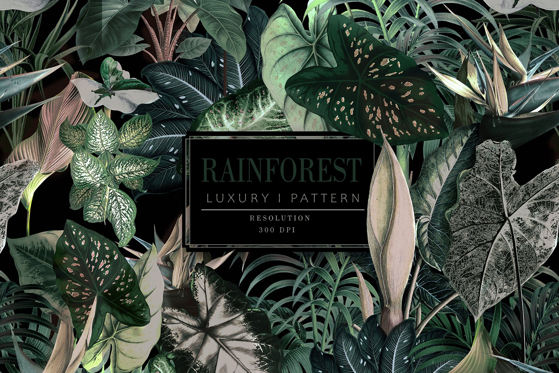 Rainforest Foliage 2040-10