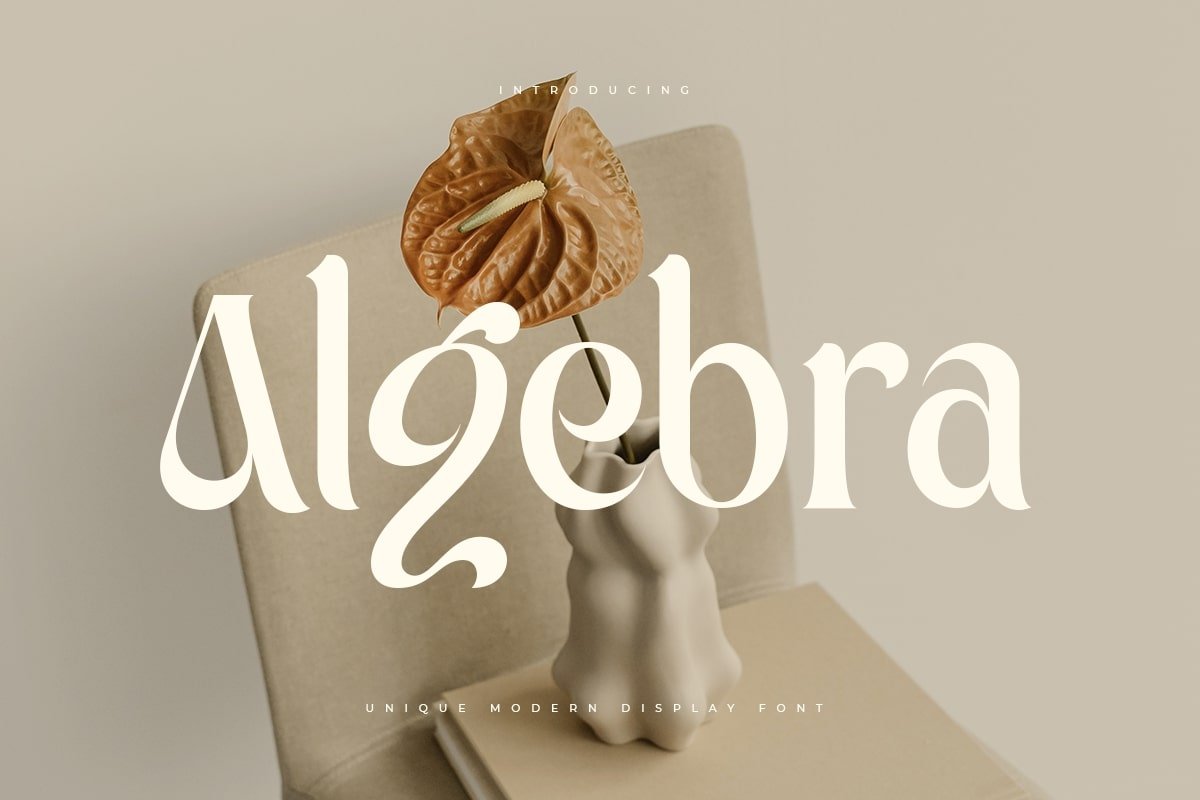 Algebra - Unique Modern Display Font - Design Cuts