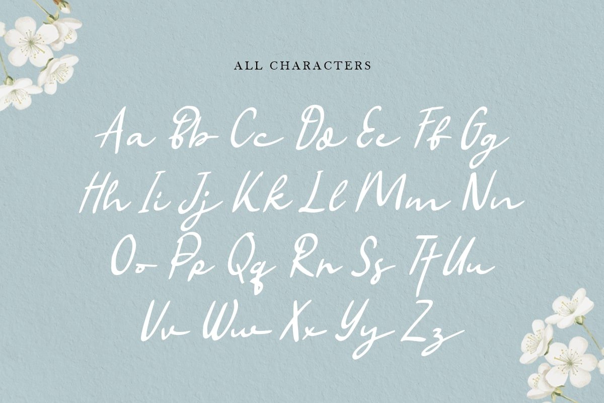 Balqis - Handwritten Signature Modern Script Font - Design Cuts