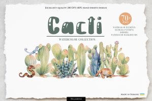 Cacti Watercolor Collection