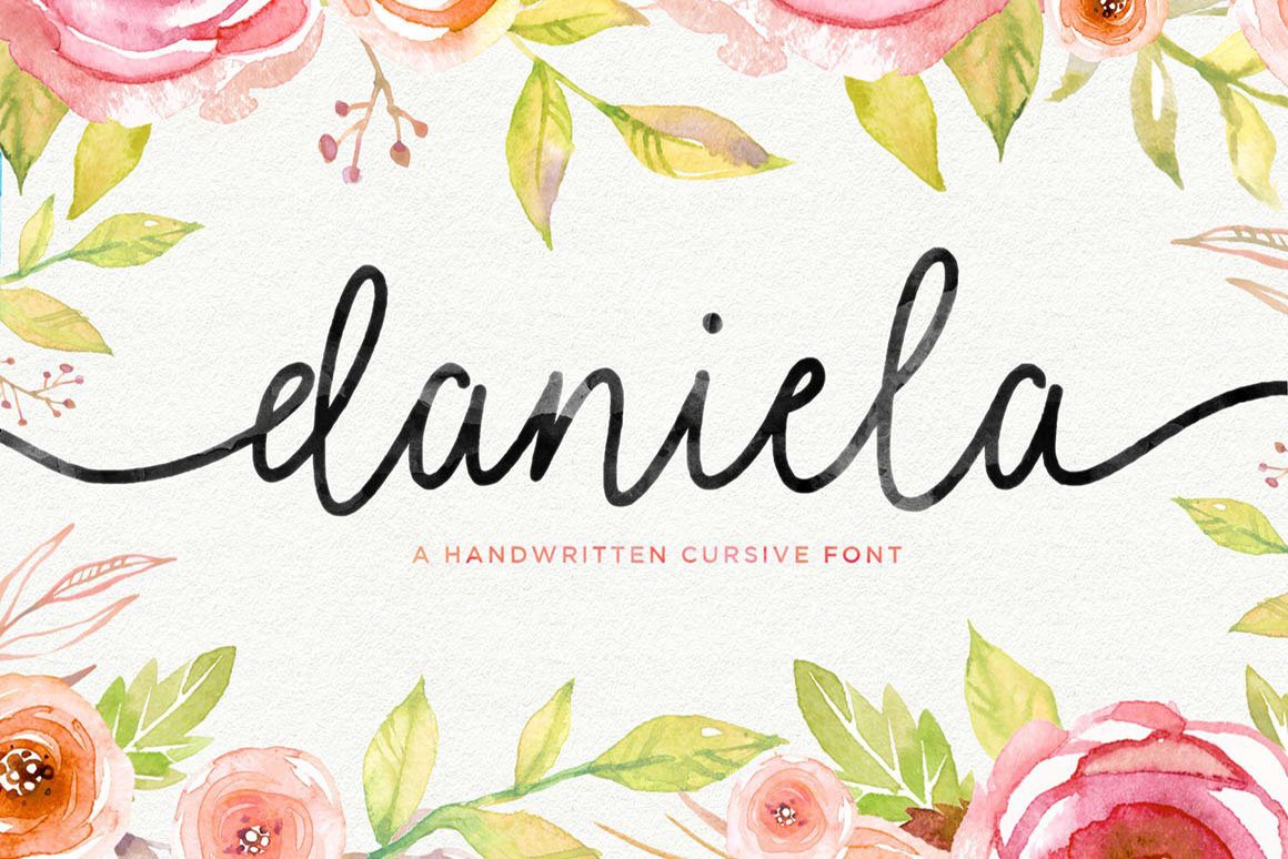 Daniela Script - Design Cuts