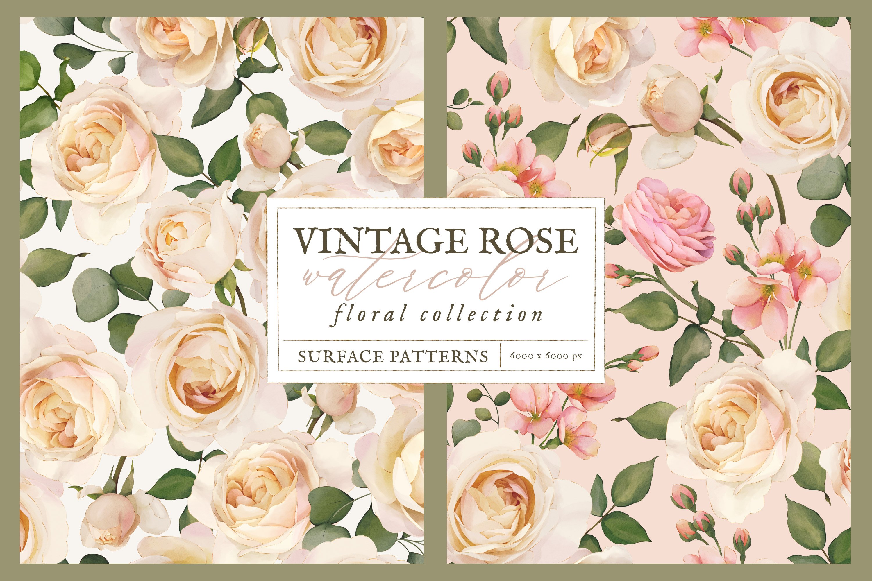 vintage rose background